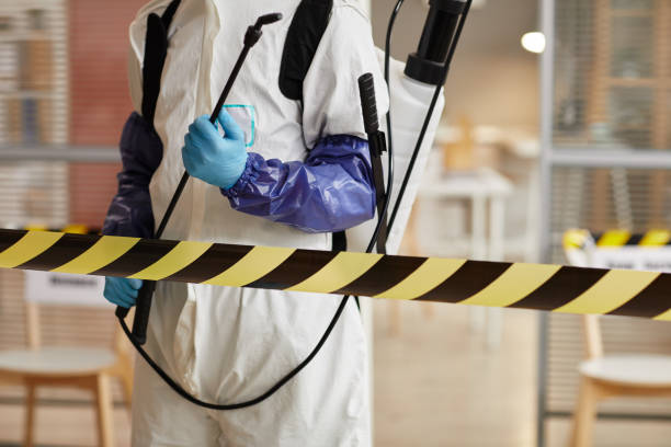 Professional Biohazard technician working in Orting, WA